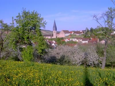 Markelsheim3