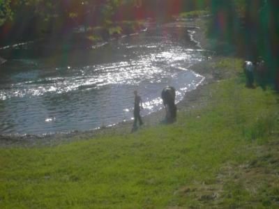 Markelsheim Tauber