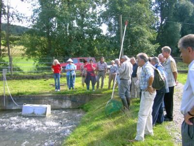 Markelsheim Gästewanderung