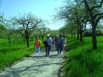 Markelsheim Wanderer