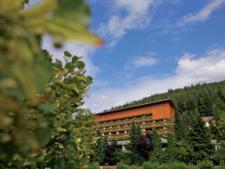Enztalhotel Enztalhotel