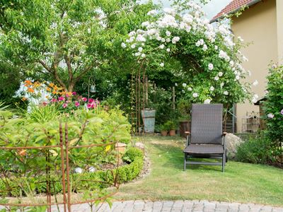 Garten unten (31)